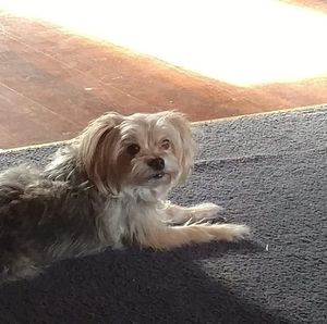 Meet your Posher, Rick